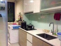 Simei Green Condominium (D18), Condominium #622031881